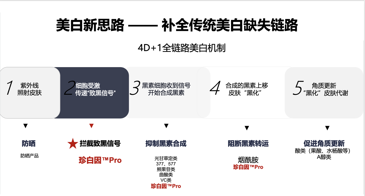 作用機理.png 作用機理.png